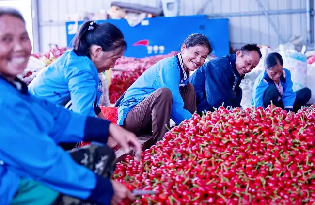 镇远农商银行&ldquo;四举措&rdquo;打好金融服务牌， 助力县域绘就文旅新画卷