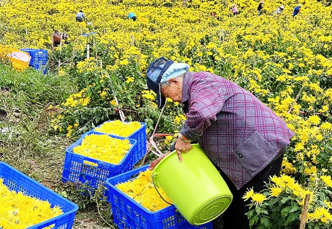 镇远农商银行助力乡村振兴&ldquo;景&rdquo;上添花
