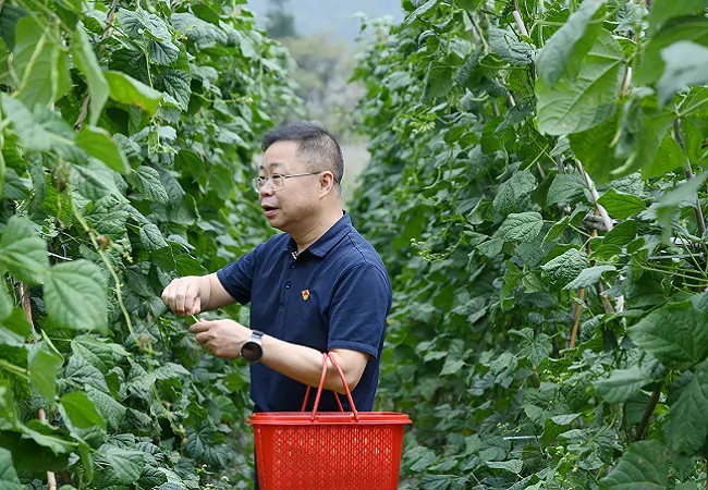 采摘现场 (8)11.JPG