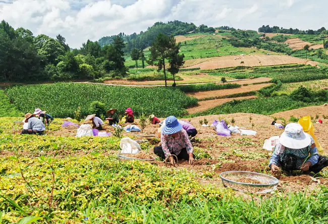 黔东南农信：一笔一画 绘就&ldquo;多示范多样板&rdquo;新图景