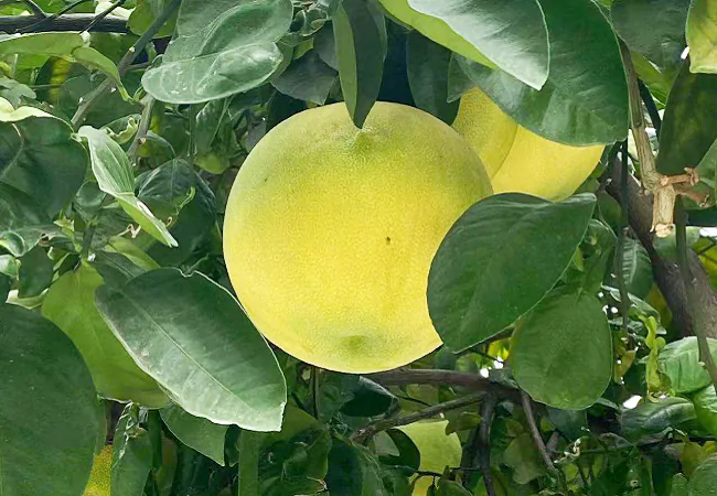 贵州银行镇远支行：&ldquo;金融活水&rdquo;助力打造乡村幸福家园