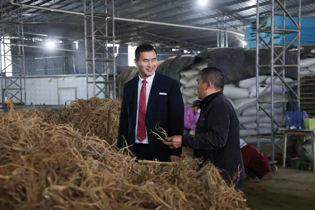 (图为 了解中药材加工企业资金需求).png