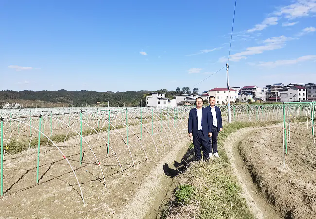 贵州银行&ldquo;兴农贷&rdquo;助力羊肚菌撑开&ldquo;致富伞&rdquo;