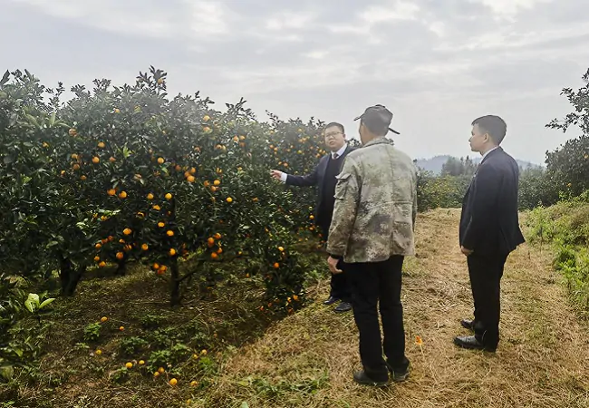 图为：新化信用社客户经理走访种植户2.png