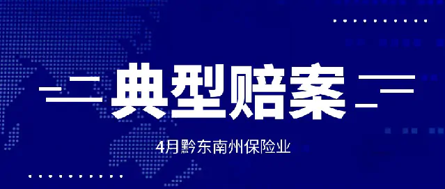 2023年四季度黔东南州保险业典型赔案