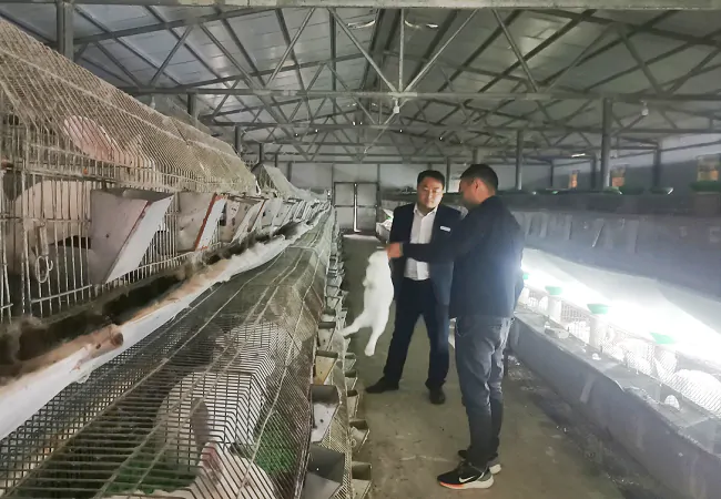 岑巩农信联社：小小伊拉兔  蹦出致富路