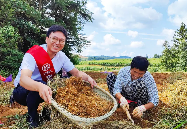 (图为:该行利用“种植e贷”助力施秉县太子参产业发展).png