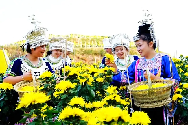 黔东南农信：深耕乡土沃野 共绘锦绣画卷