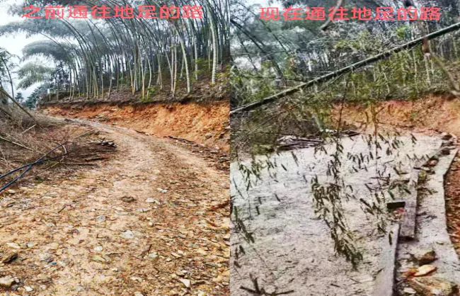 （图为：通往地足村公路的对比图）.png
