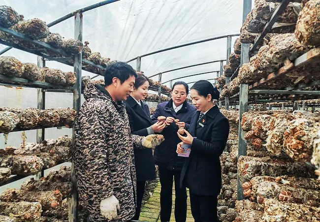 台江农信联社：金融&ldquo;活水&rdquo;施足春耕&ldquo;底肥&rdquo;