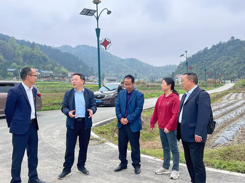 多方力量携手同助力 共绘乡村发展新篇章