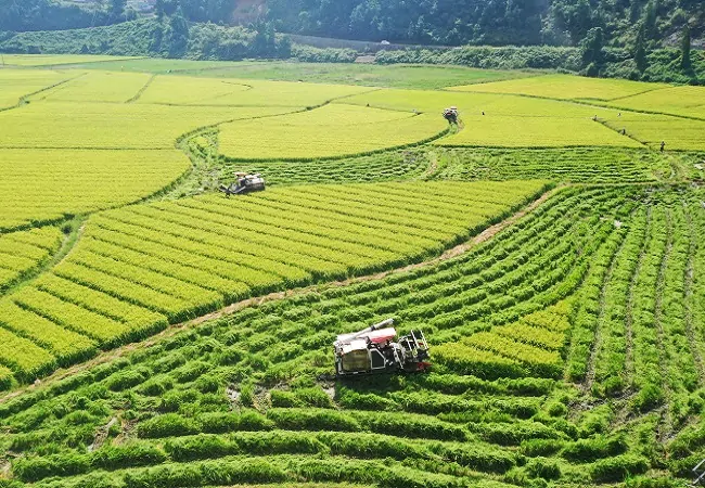 农发行黔东南州分行：&ldquo;三新&rdquo;做好宣传引领   营造高质量发展舆论氛围