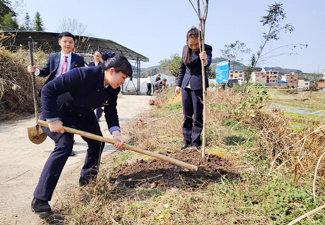 (图为:植树活动现场)1.png