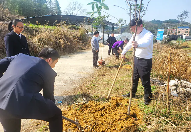 (图为:植树活动现场)3.png
