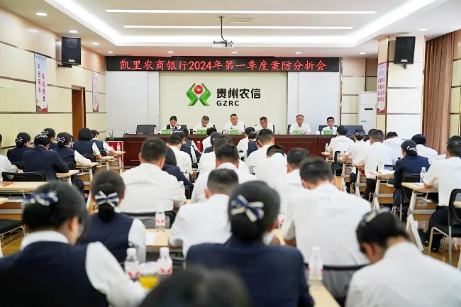 树牢合规意识 严守风险底线 为高质量发展保驾护航