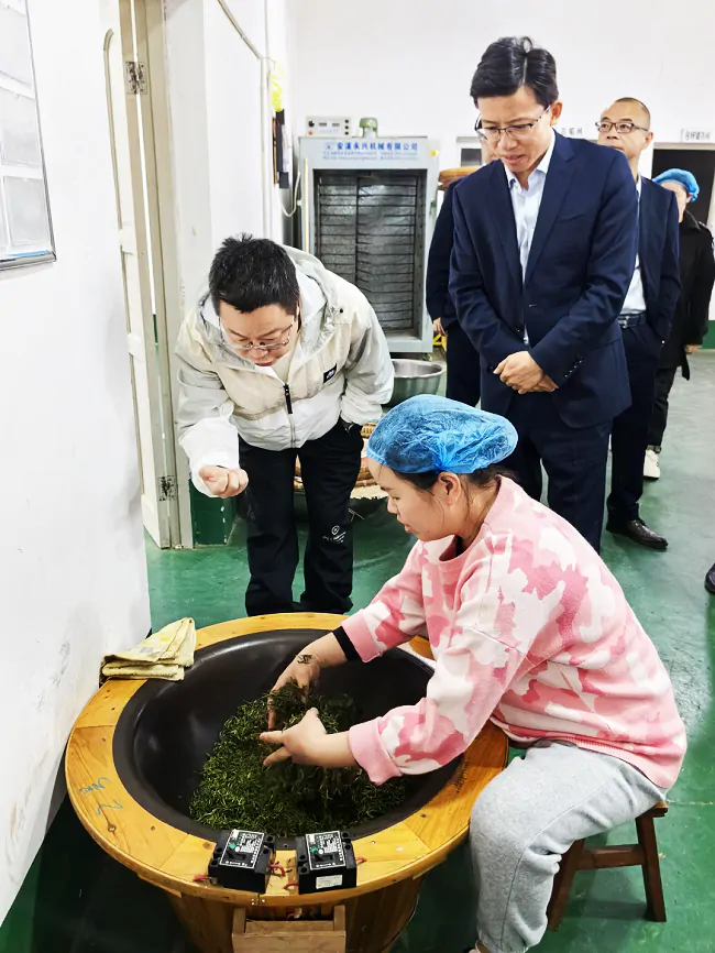 （图为：车间工人正在制作茶叶）.png