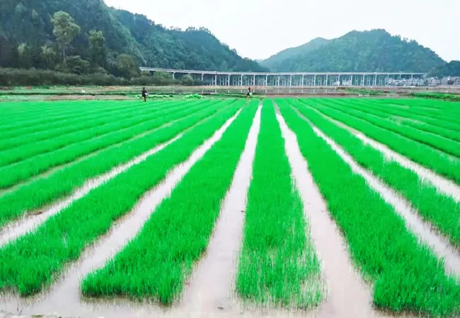 农业银行黔东南分行存贷款规模双突破新大关