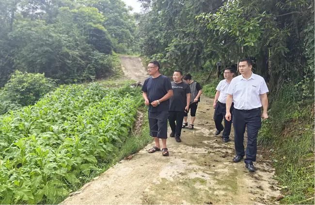 施秉农信联社：农信筑牢金融堤坝，防汛抗涝保障生产