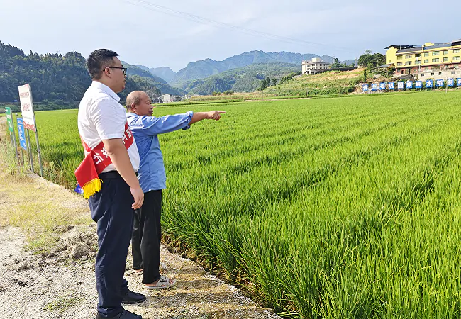 金融&ldquo;活水&rdquo;润&ldquo;三农&rdquo;，绘就产业好风景
