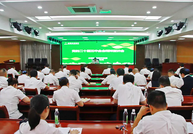 三穗农商银行掀起学习贯彻党的二十届三中全会精神热潮