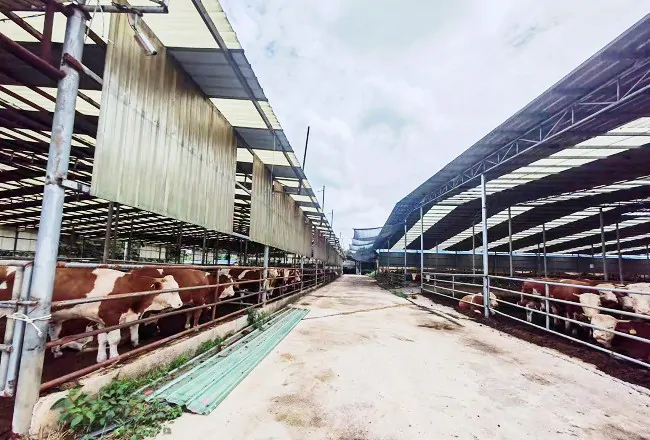 邮储银行黔东南州分行首笔银担&ldquo;总对总&rdquo;批量担保业务落地