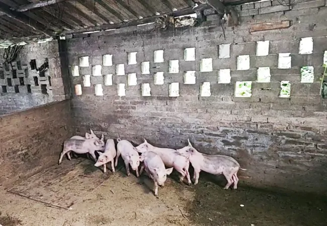 农行剑河县支行&ldquo;富民贷&rdquo;为乡村振兴赋能增效