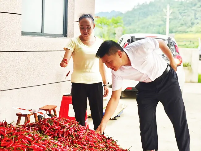 &ldquo;辣椒红&rdquo;照亮&ldquo;红火&rdquo;致富路