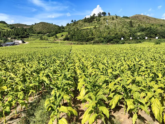 农行黔东南分行普惠金融&ldquo;活水&rdquo;润泽千企万户
