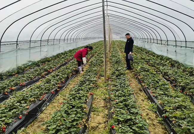 金融活水&ldquo;贷&rdquo;来新市民&ldquo;莓&rdquo;好生活