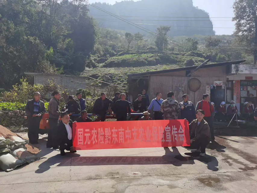 国元农险践行金融&ldquo;五篇大文章&rdquo;  提升&ldquo;三农&rdquo;服务水平