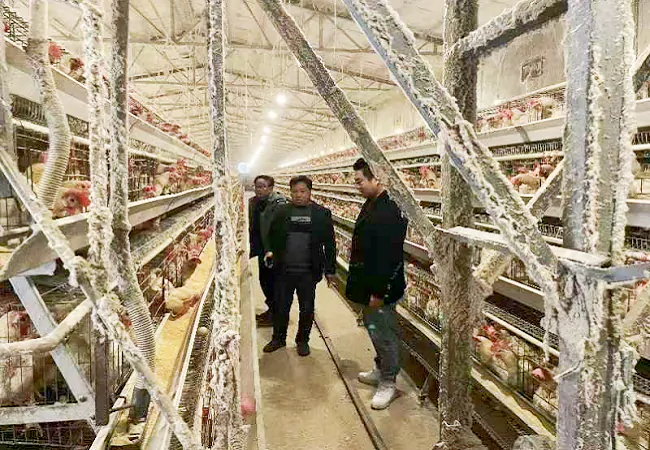 邮储银行麻江县支行联合县残联走访企业