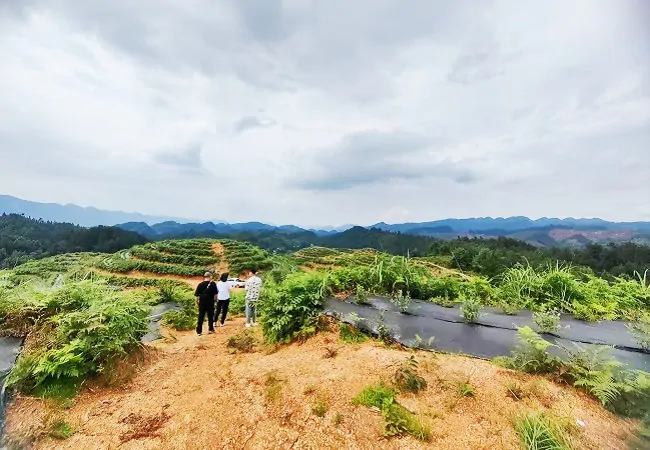 农业银行黔东南分行贷款投放创历年新高
