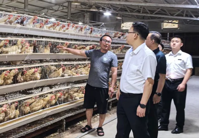 走出&ldquo;实效&rdquo;，访出&ldquo;真情&rdquo;