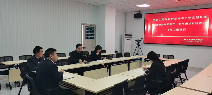 中国大地保险开展&ldquo;加强廉洁风险防，控树牢廉洁自律意识&rdquo; 主题党日活动