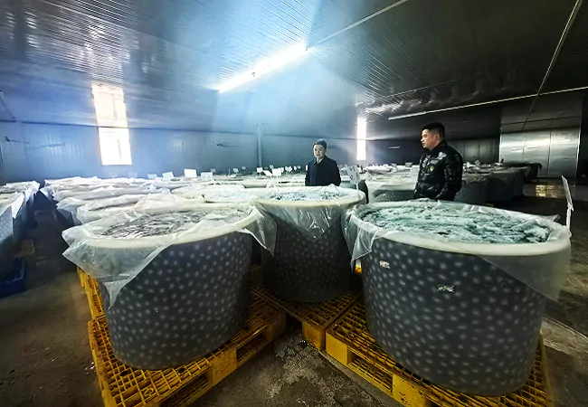 以走访脚步丈量金融服务 三穗农商银行助力鸭蛋深加工提升产业产值