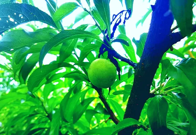 天柱农商银行：金融甘霖唤醒山乡&ldquo;黔&rdquo;路