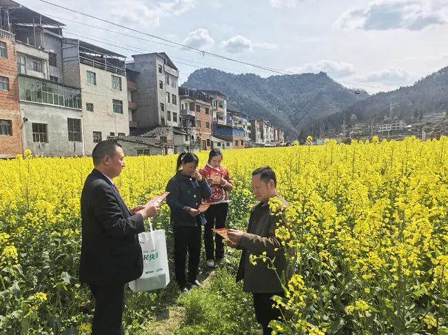 岑巩农信联社：金融&ldquo;活水&rdquo;润春耕 精准服务助农兴