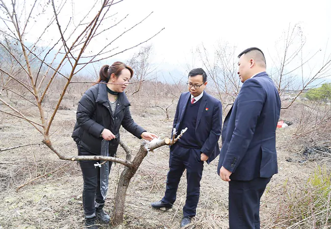 台江农信联社：金融春雨润沃土，助力春耕正当时
