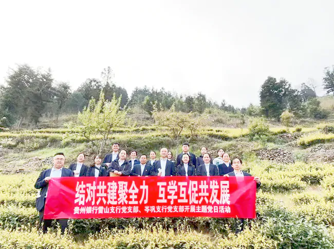 结对共建聚全力，互学互促共发展