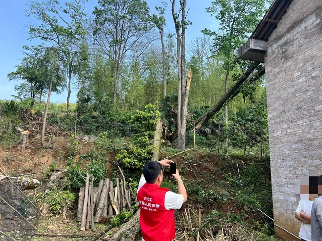 人保财险黔东南镇远支公司： 迅速出击 守护农户家园