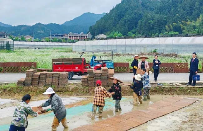 锦屏农信联社：春耕一线显担当 金融甘霖润秧苗