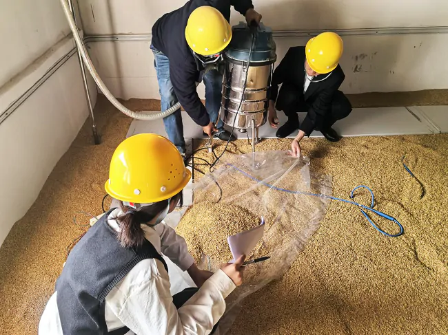 做好粮食库存管理  筑牢粮食安全根基