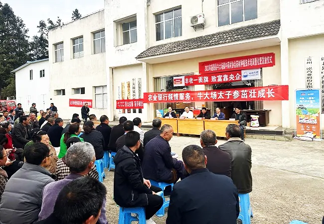 农业银行黔东南分行：特色信贷赋能特色产业，金融活水润泽活力乡村