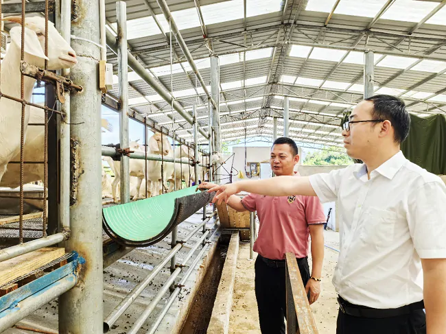 岑巩农信联社：信贷资金铺就&ldquo;羊&rdquo;光大道   小产业绘出致富新图景