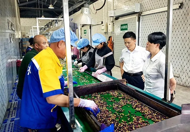 麻江农商银行：温度&middot;速度&middot;深度 三维赋能小微企业成长