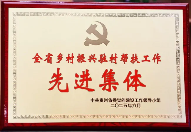 扎根乡村践初心，助力振兴绘蓝图