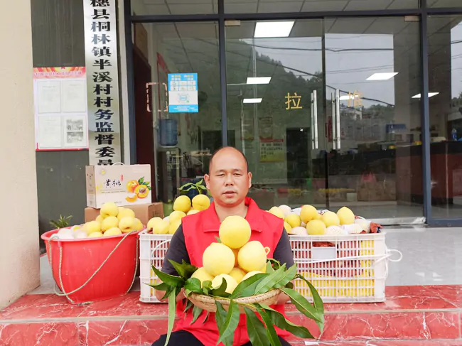 图为：半溪村村委会主任谢隆必销售黄桃.png