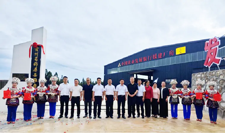 为锥栗产业赋能  为乡村振兴助力