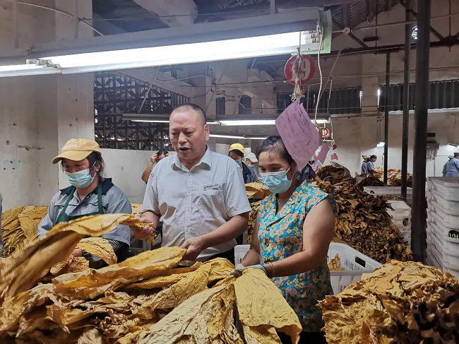 镇远农商银行：助力&ldquo;黄金&rdquo;产业喜获丰收   共绘乡村振兴新画卷