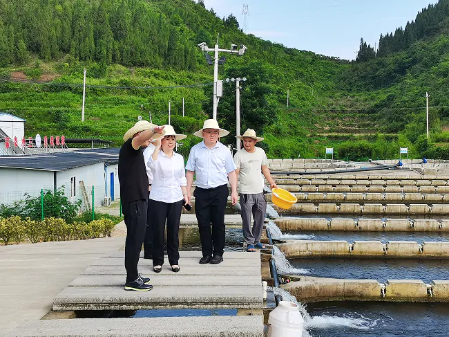 图为：工行岑巩支行实地调研虹鳟鱼养殖规模.png